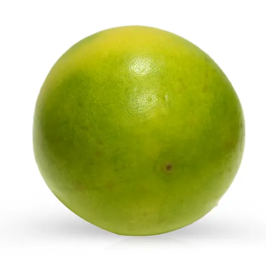 Pomelo White 450g to 600g China